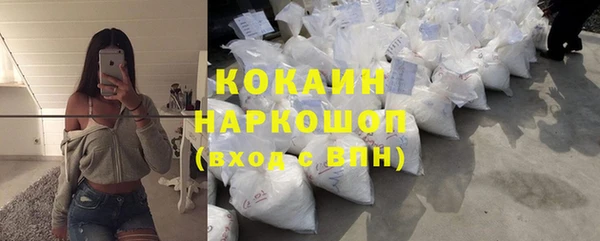 амф Няндома