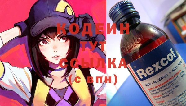 гашик Нягань