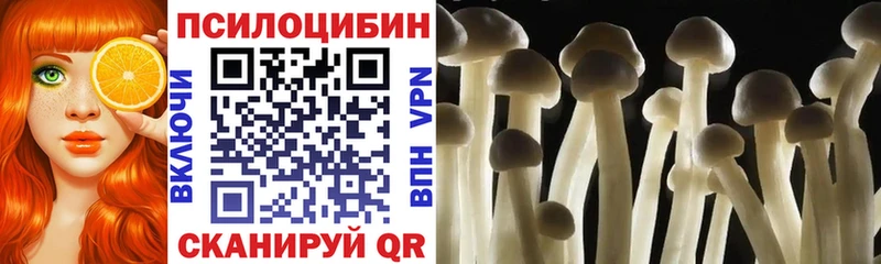 магазин продажи наркотиков  Троицк  Галлюциногенные грибы MAGIC MUSHROOMS 